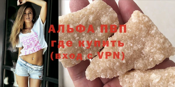 крисы Козельск