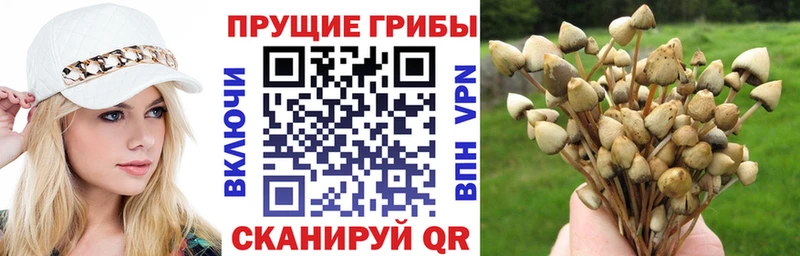 KRAKEN   shop официальный сайт  Галлюциногенные грибы мухоморы  Пустошка 