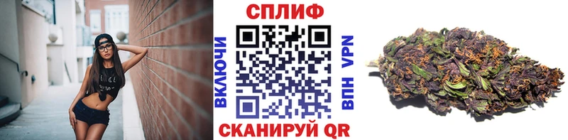 цены наркотик  blacksprut ССЫЛКА  Канабис THC 21%  дарк нет Telegram  Пустошка 
